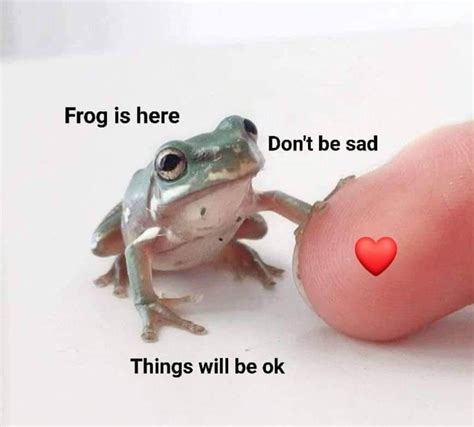 Magic exists and my frog is alive